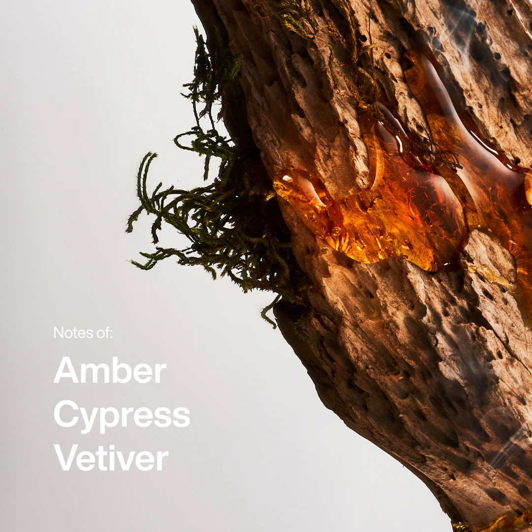 Amber & Vetiver Eau de Toilette Spray 50ml - Image 3