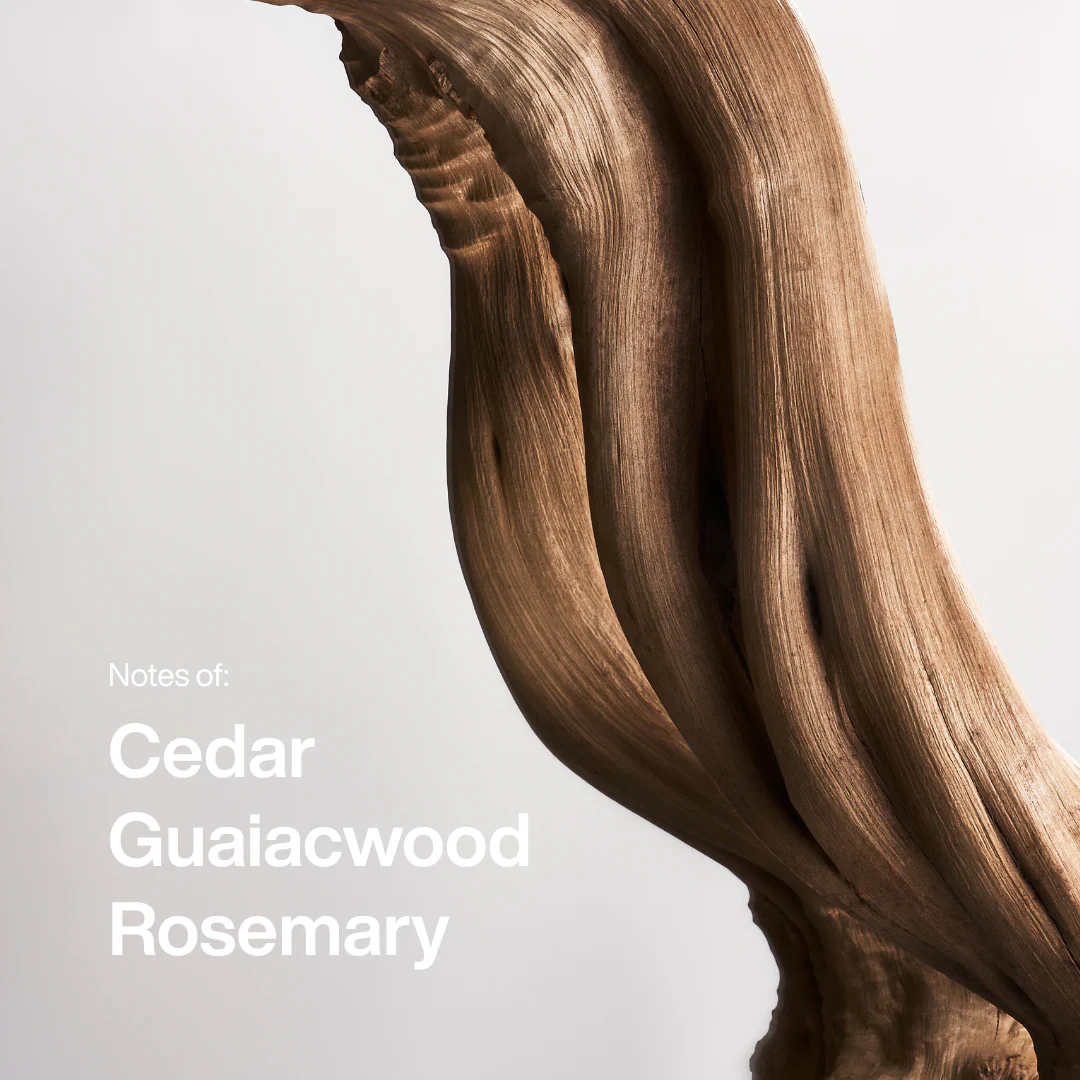 Cedarwood Eau de Toilette Spray 50ml - Image 3